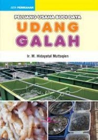 Image of Peluang Usaha Budidaya Udang Galah